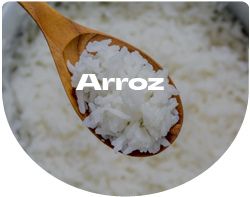 arroz